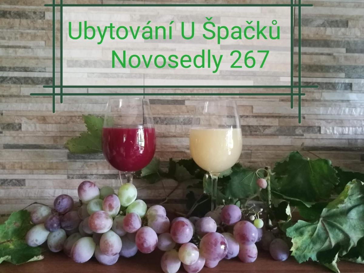 Apartament Ubytovani U Spacku Palava Novosedly  Zewnętrze zdjęcie