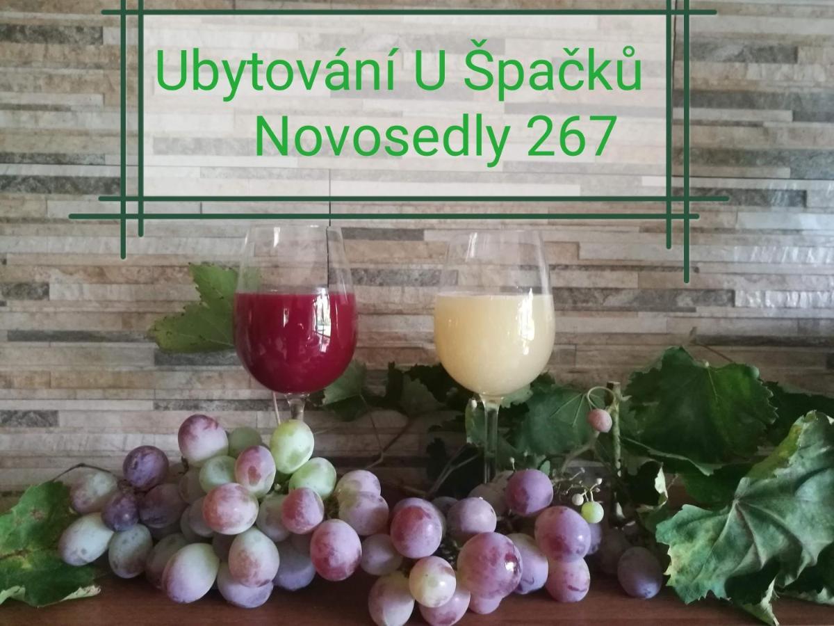 Ubytovani U Spacku Palava Novosedly  Zewnętrze zdjęcie