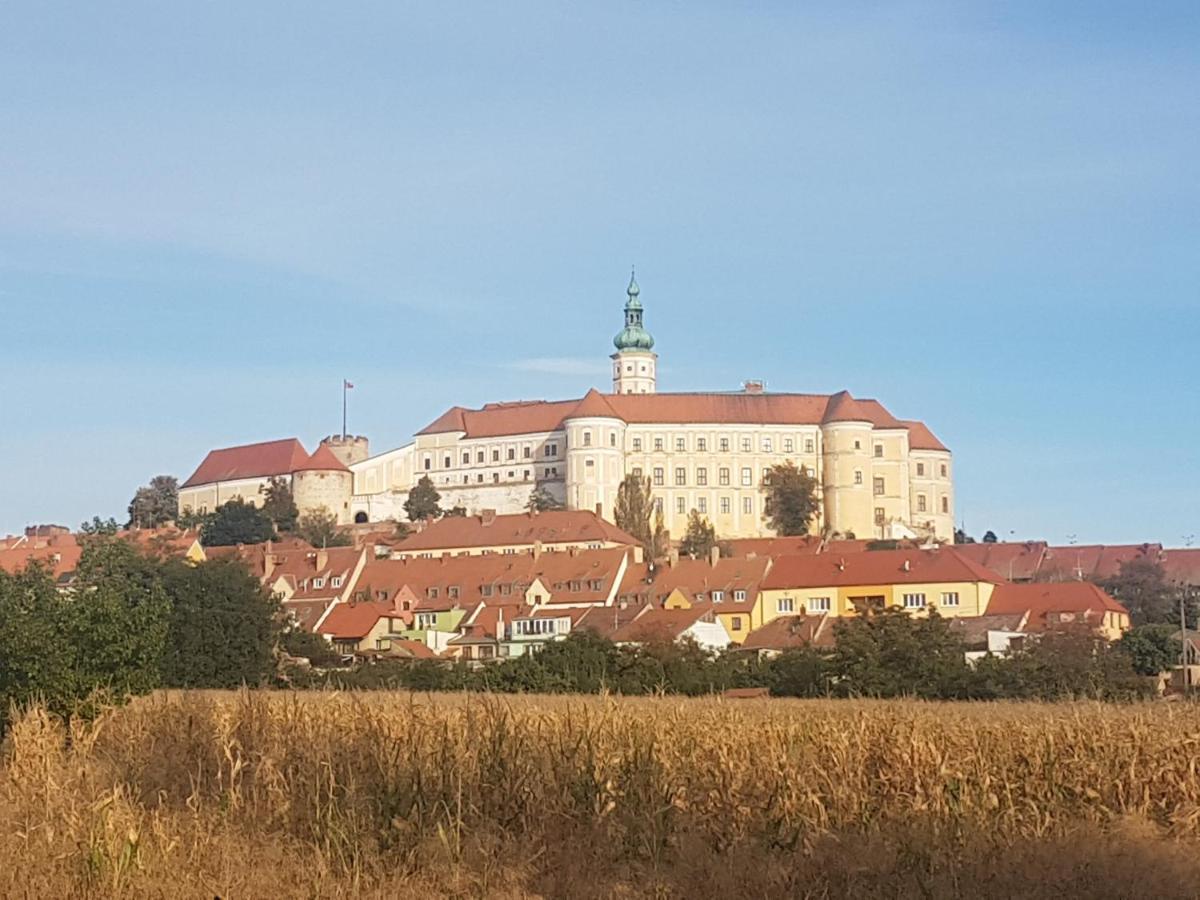 Ubytovani U Spacku Palava Novosedly  Zewnętrze zdjęcie