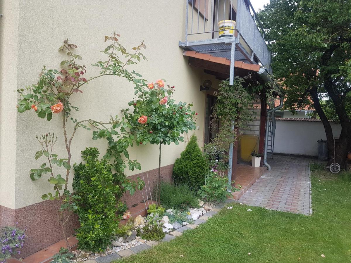 Apartament Ubytovani U Spacku Palava Novosedly  Zewnętrze zdjęcie