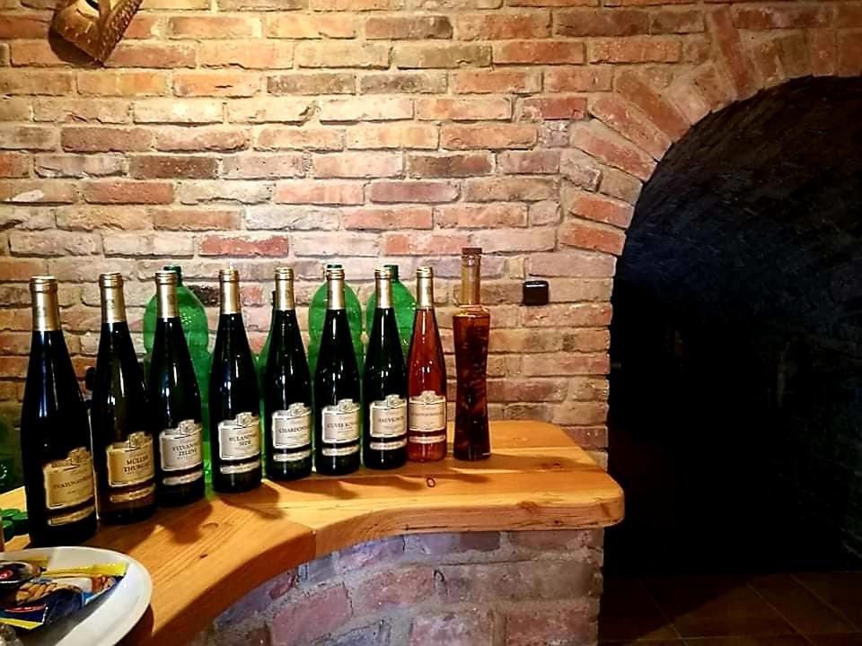 Ubytovani U Spacku Palava Novosedly  Zewnętrze zdjęcie