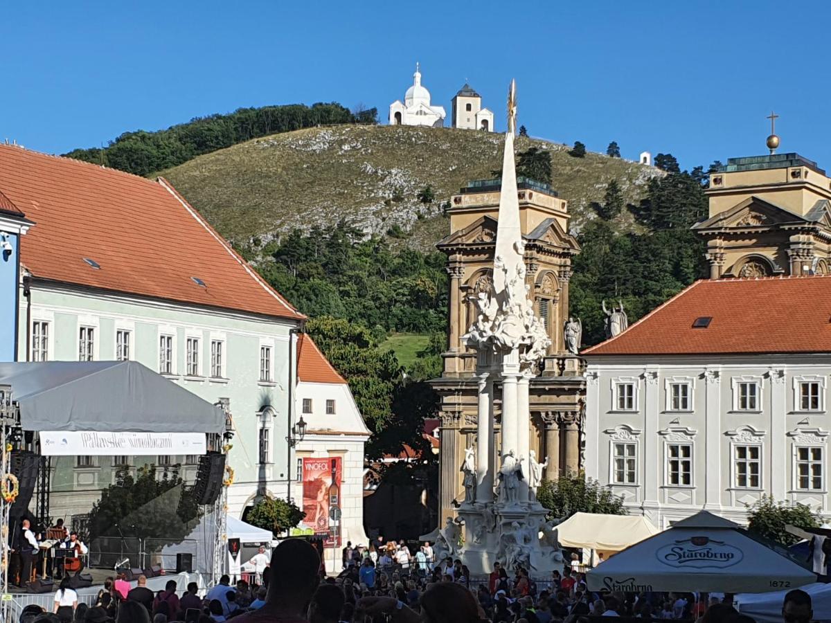 Ubytovani U Spacku Palava Novosedly  Zewnętrze zdjęcie
